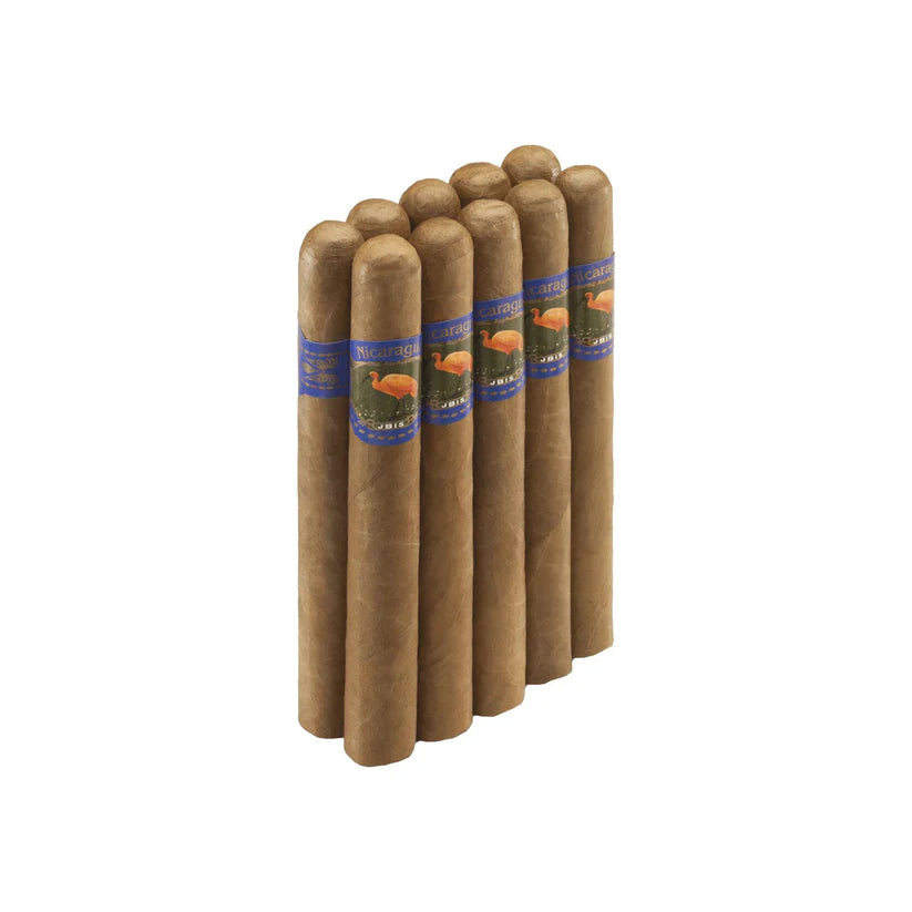 IBIS Nicaragua Robusto – nicaraguansk premiumcigarr med Ecuador-täckblad, mild till medium styrka, smaker av cederträ, rostat kaffe och mild svartpeppar